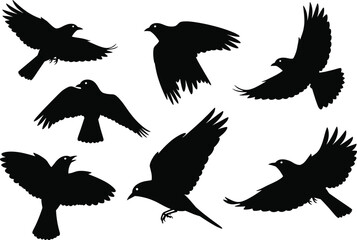 Collection of flying bird silhouettes isolated on white background, vector illustration representing wildlife, nature, freedom, flight, and animal design for creative projects