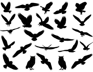 Very dark and indistinct image with shapes vaguely suggesting eyes, maybe animals, and blurry outlines