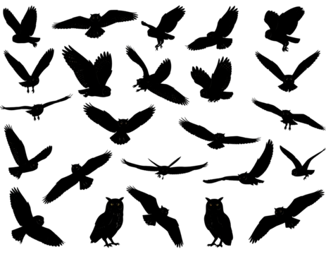 Very dark and indistinct image with shapes vaguely suggesting eyes, maybe animals, and blurry outlines