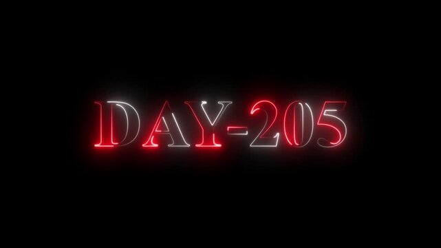 Neon sign displaying DAY-205 in red and white glowing letters on a black background number text