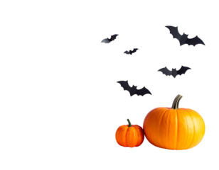 Two orange pumpkins with black bats on a black background. Festive, autumnal, Halloween-themed