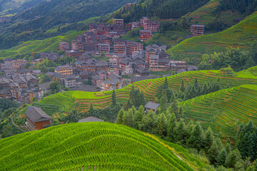 The longji rice terrace viewed from the viewpoint number 2 thousand layers to the heaven. Longsheng, China