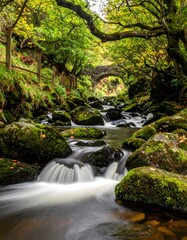 Flowing water under stone arch, surrounded by vibrant green foliage