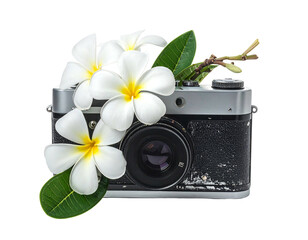 Vintage camera adorned with white frangipani blooms against a black background