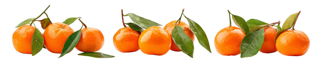 tangerines with leaves on white background