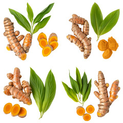 turmeric roots and leaves on white background