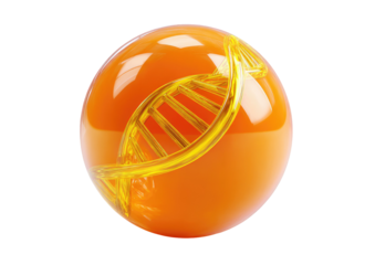 Glossy orange sphere with golden DNA helix within it