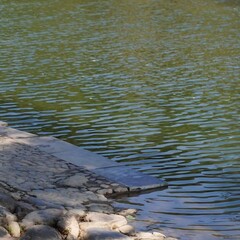 A tranquil lakeside scene with rippling green water and a stone-paved shore under natural light