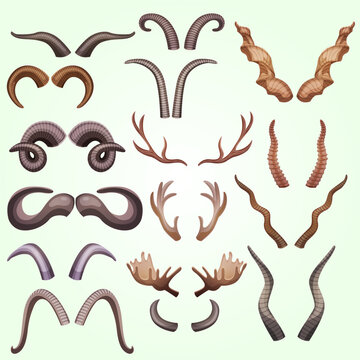 Cartoon Style Assorted Animal Horns Set Collection Wildlife Creature Element