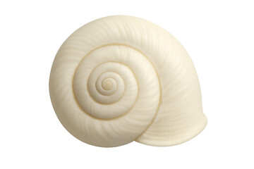 Snail shell macro view showcasing spiral pattern and natural texture on transparent background