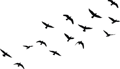 Silhouette birds flying in sky, flock of birds in motion, wildlife migration background, freedom concept, nature illustration, minimalist design art