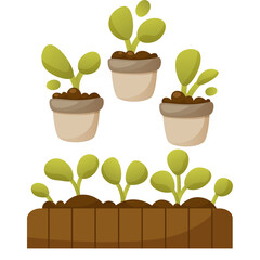 Collection Of Potted Seedlings And Growing Plants In Garden Bed With Brown Soil And Green Leaves Against White Background