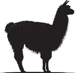 Fototapeta premium Vector Silhouette of a Llama on white background. Symbol of Peru.