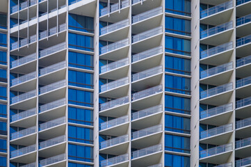 Curving Palm Tree Trunk with a Blue Sky Background.