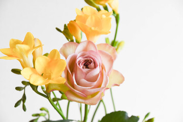 薔薇とフリージア