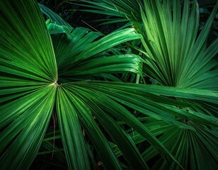 Lush Green Tropical Palm Leaves Texture