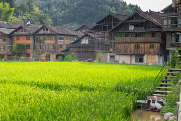 AUGUST 20, 2023, GUIZHOU, CHINA: The ancient town of Zhaoxing, Guizhou, China