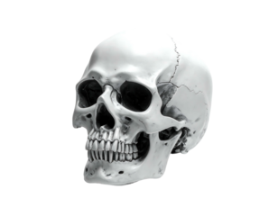 White skull, isolated on black, at an angle, shows teeth and bone details. Creepy and stark