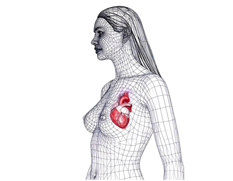 Wireframe woman with red anatomical heart displayed over chest, against a black background