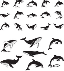 Obraz premium Set of of black and white vector illustrations featuring various whale and dolphin silhouettes in active poses, ideal for logos and icons