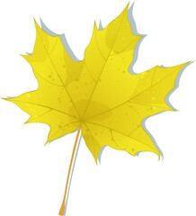Hand-drawn yellow maple leaf isolated on white background. Flat and line style autumn colored vector illustration. 