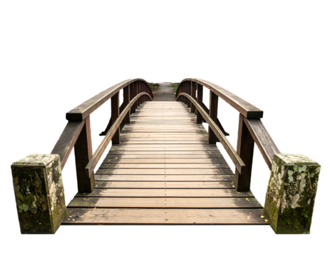 Wooden bridge curves forward. Mossy stone supports. Black background. Railings with smooth curving lines create pathway