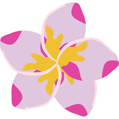 Pink and Purple Plumeria Flower with Yellow Center Against a Transparent Background Vector Art