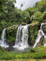 Obraz premium waterfall in the forest