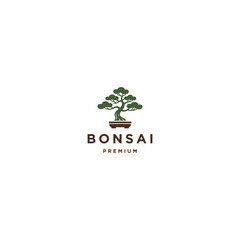 Bonsai logo design vector icon flat illustration
