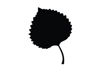 Birch leaf silhouette vector, Leaf black vector icon 