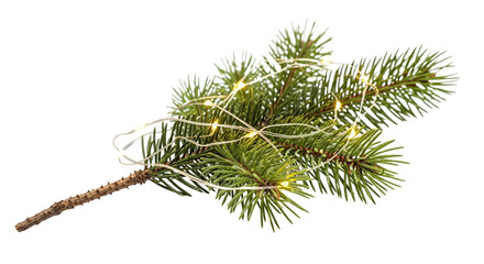 A festive christmas tree branch with fairy lights isolated on transparent background, bringing holiday cheer and warmth to any creative project