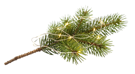 A festive christmas tree branch with fairy lights isolated on transparent background, bringing holiday cheer and warmth to any creative project