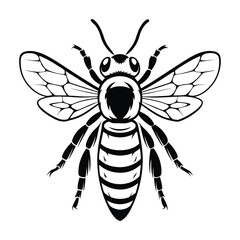 Obraz premium Honey Bee Vector Illustration Flying Insect Design Detailed Black White Outline Art Graphic Element for Nature Projects
