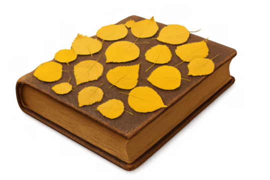Old book with autumn yellow leaves on cover representing knowledge, education, and seasonal reading, transparent background - Powered by Adobe