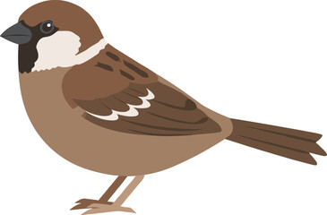 Simple Flat Isolated Sparrow Bird Illustration with Clean Aesthetic Design