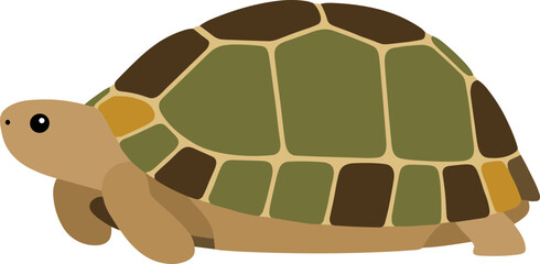 Simple Flat Design Cartoon Land Turtle with Segmented Shell Illustration