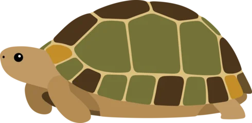 Wandcirkels Dierentuin Simple Flat Design Cartoon Land Turtle with Segmented Shell Illustration  © Namu Icons