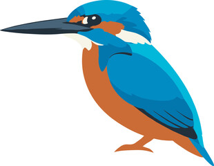 Obraz premium Flat Design Graphic Kingfisher Bird Illustration on White Background Artwork