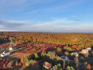 vineyards in autumn