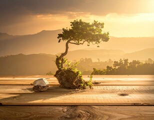 Miniature Bonsai Tree at Sunset on Wooden Deck