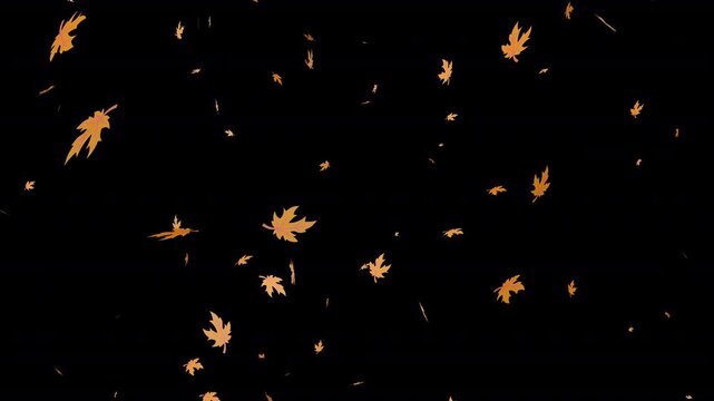 Autumn Leaves Falling Top to Bottom Animation on transparent background with rotation, Animation of autumn leaves a falling video