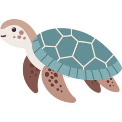 Cute illustration of a sea turtle with a teal patterned shell and brown flippers set against a transparent background simple cartoon style
