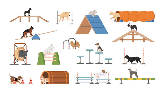 A dog playground equipment set featuring ramps, tunnels, and obstacles for dogs to play and exercise. Ideal for training and fun.