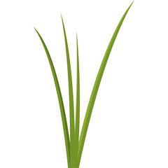 Stylized Green Grass Blades Isolated on White Background with a Transparent Layer for Easy Integration into Nature Scenes and Eco-friendly Designs