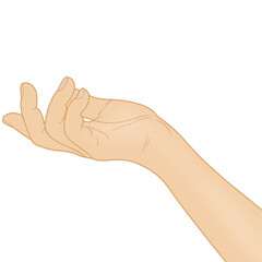 Woman Hand Vector Illustration