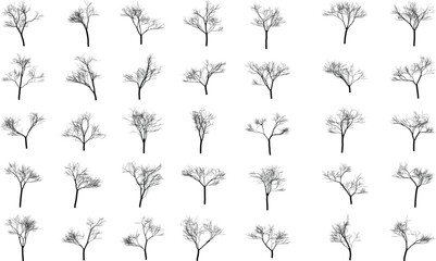 A minimalist collection of bare tree illustrations in black and white for nature design projects