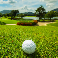 Fototapeta premium golf ball on grass field