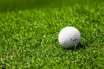 golf ball on grass field