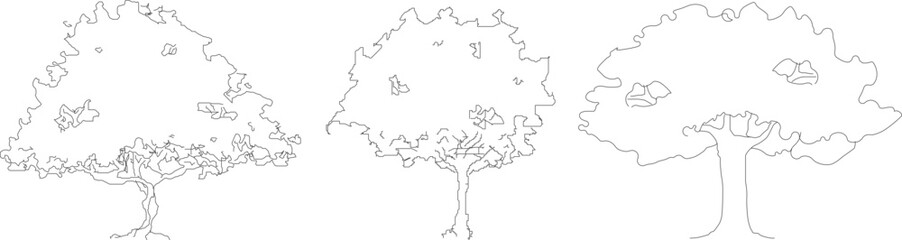 cad tree line drawing, Side view, set of graphics trees elements outline symbol for architecture and landscape design drawing. Vector illustration