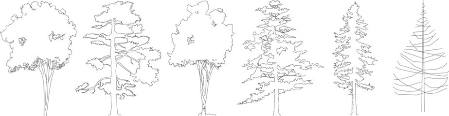 cad tree line drawing, Side view, set of graphics trees elements outline symbol for architecture and landscape design drawing. Vector illustration